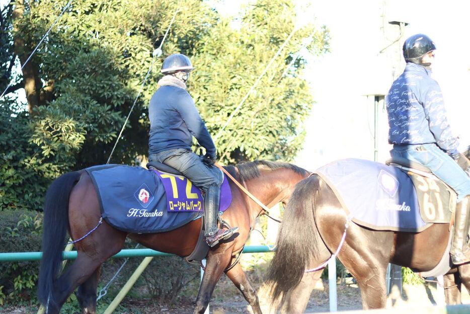 坂路で息を整えたローシャムパーク＝21日、美浦トレセン（撮影・吉田桜至郎）