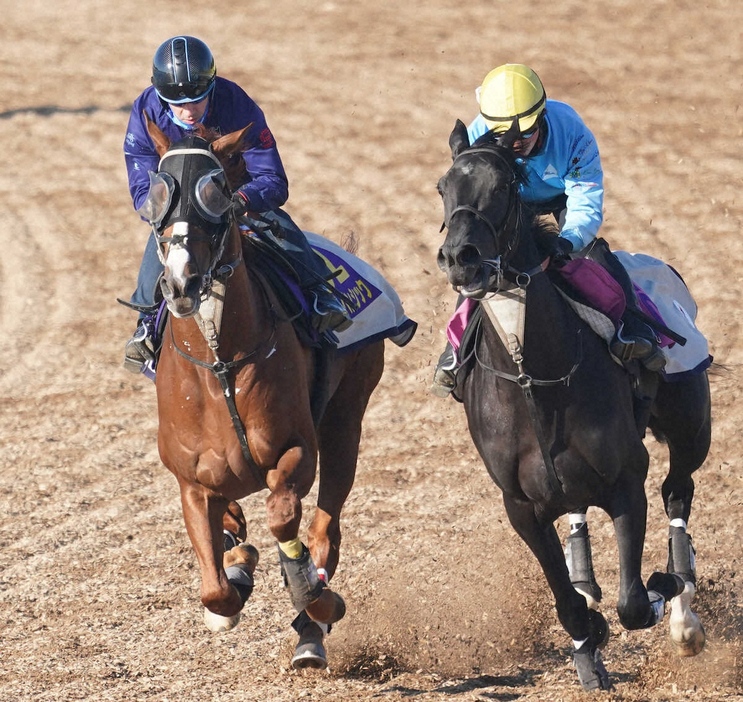 ＜有馬記念＞ルメールを背に併せで追い切るアーバンシック（左）（撮影・村上　大輔）