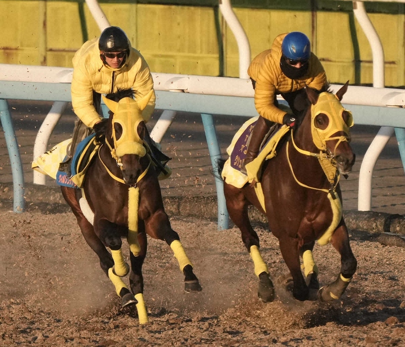 ウィルソンテソーロ（左）と併せて追い切るウシュバテソーロ（撮影・郡司修）