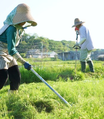 〔PHOTO〕iStock