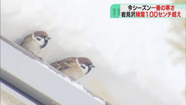 STVニュース北海道