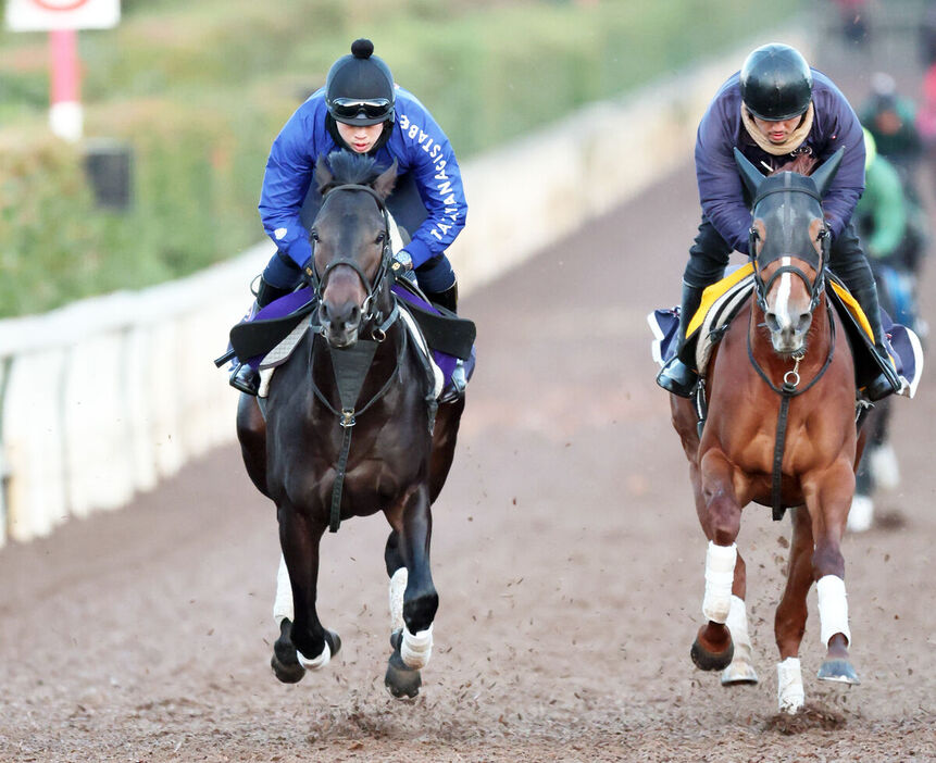 併せ馬で追い切ったミュージアムマイル（左、カメラ・高橋　由二）