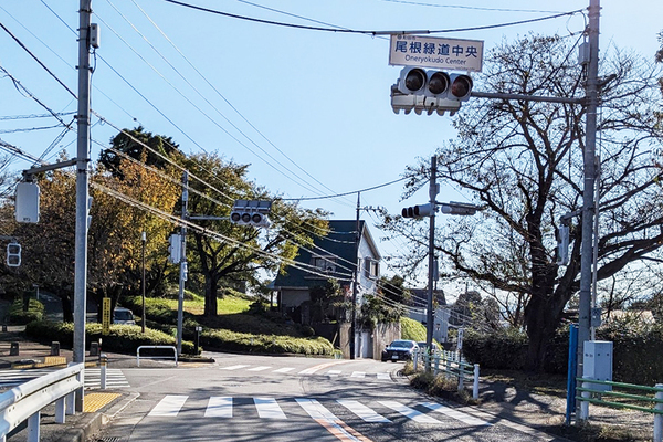 場所によっては一般道路となっている「戦車道路」こと町田の尾根緑道（瀬戸利春撮影）。