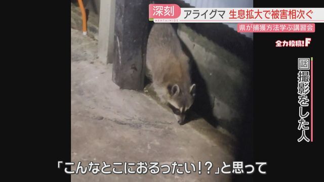 「こんなところに」