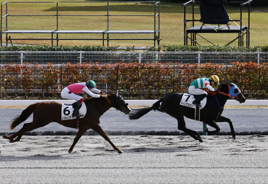 中京5Rの新馬戦を制したフィングステンと亀田騎手（右）（撮影・藤尾明華）