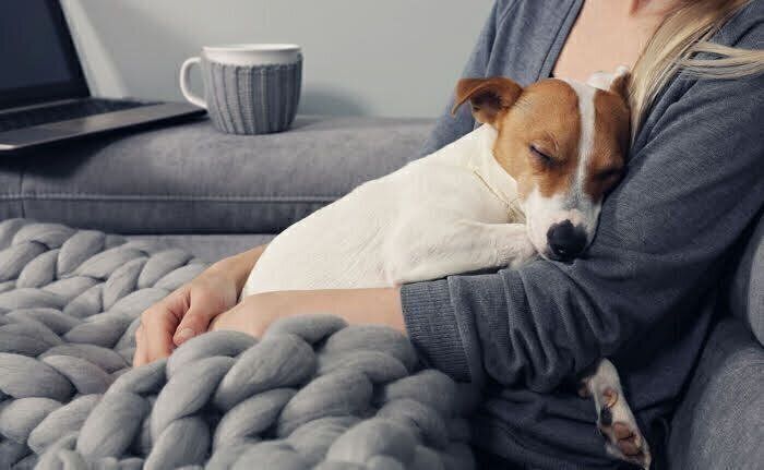 抱っこされる犬