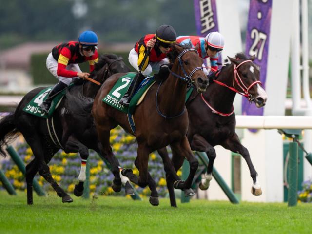 阪神JFに出走予定のブラウンラチェット(ユーザー提供：yuさん)