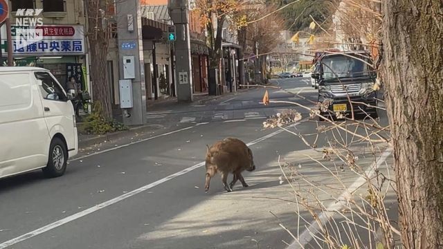 ＫＲＹ山口放送