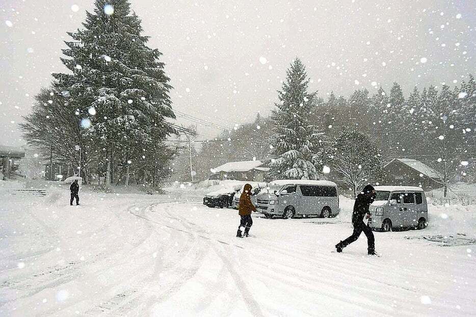 本格的に積雪したハチ高原（兵庫県養父市で）