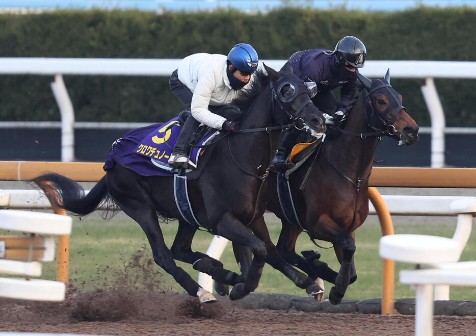 北村友騎手を背にCウッドをルシフェル（右）と併せ馬で追い切るクロワデュノール（撮影・白石智彦）