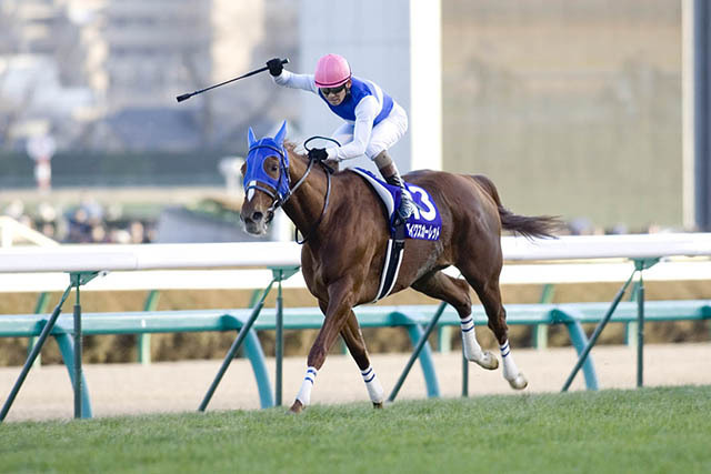 08年の有馬記念を制したダイワスカーレット(撮影：下野雄規)