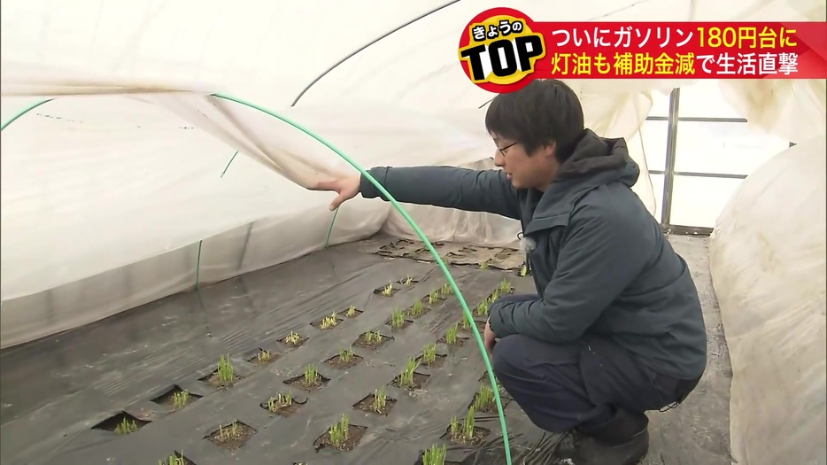 知内町 ニラ生産組合 坂本拓也さん