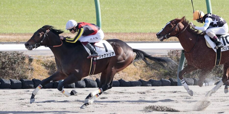 勝利したジャナドリア（左）（カメラ・荒牧　徹）