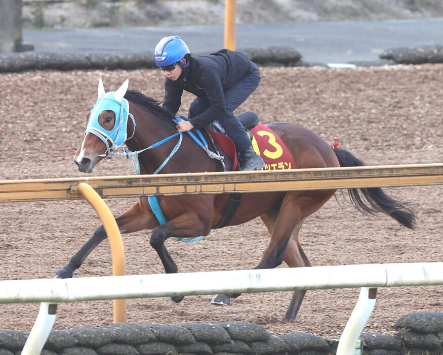 Cウッドで追い切るダンツエラン