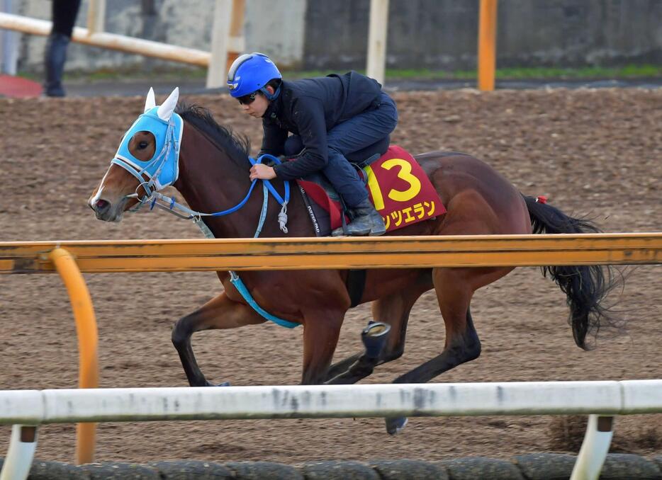 　団野を背に栗東ＣＷを軽快に駆け抜けたダンツエラン（撮影・石湯恒介）