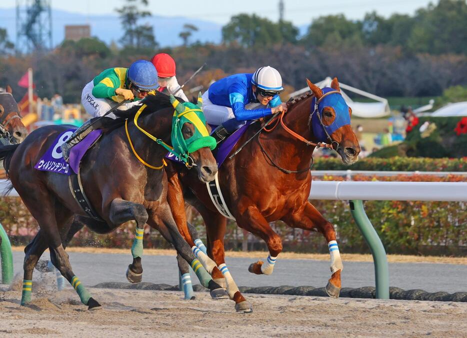 　ウィルソンテソーロ（手前）の猛追をしのぎチャンピオンズＣを制した坂井騎乗のレモンポップ（右）