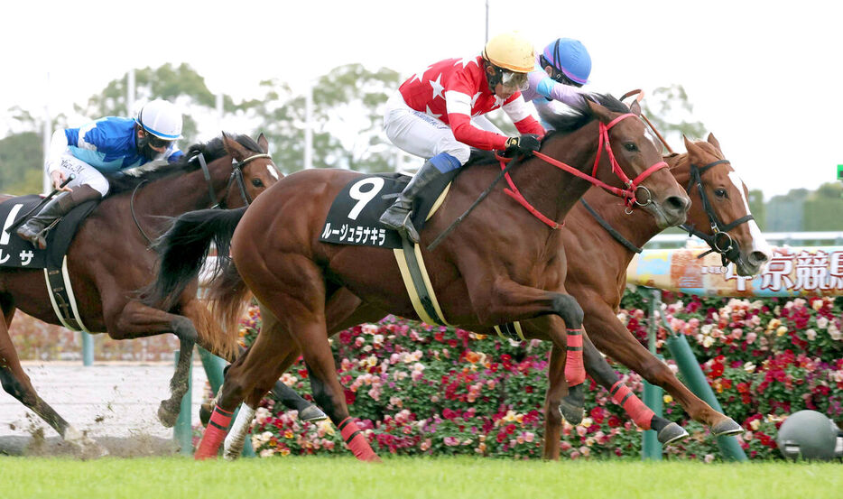 差し切ったルージュラナキラ（９番、カメラ・豊田　秀一）