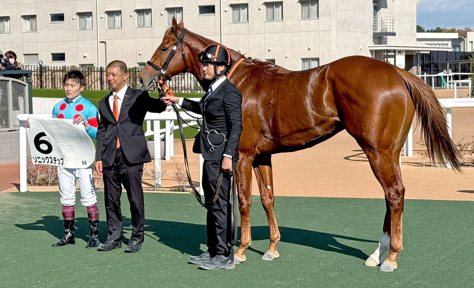 京都６Rを制したソニックステップと西村淳也騎手(左端、カメラ・山本　理貴)