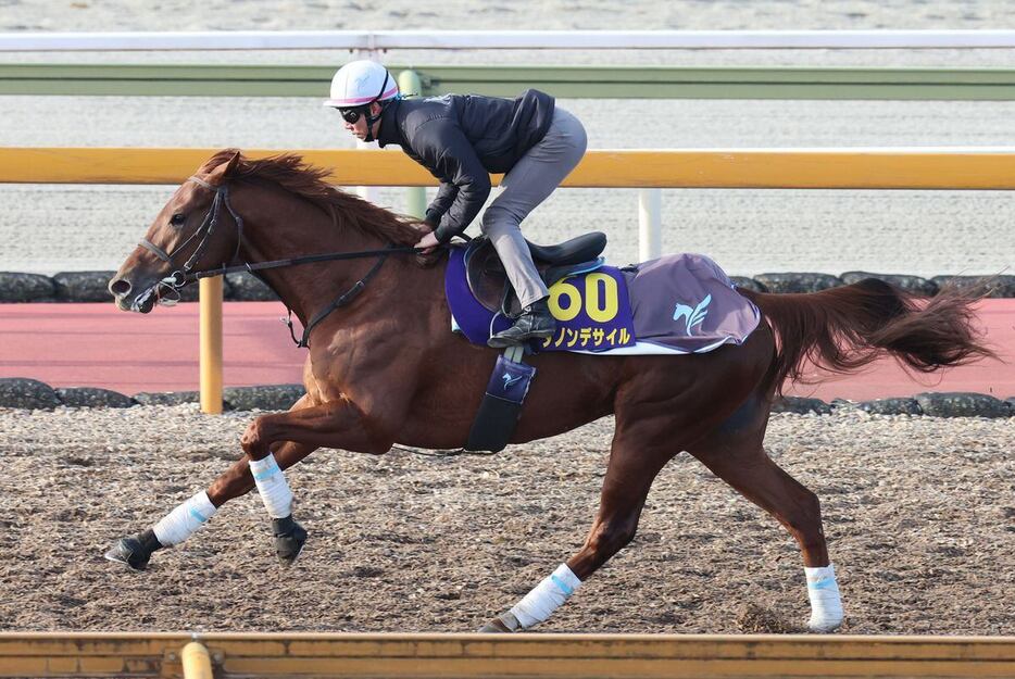 ダービー馬ダノンデサイルは安田調教師が騎乗。スムーズな走りで、ラストはシャープな伸びを見せた（撮影・安部光翁）