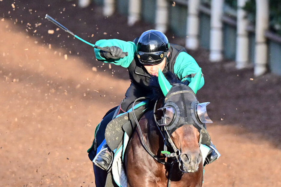 安定感抜群の３歳馬チカッパだが…