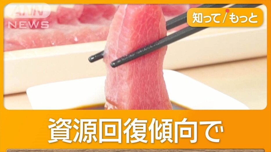 日本のクロマグロ漁獲枠3年ぶり拡大　大型は1.5倍　「海のダイヤ」安くなる？