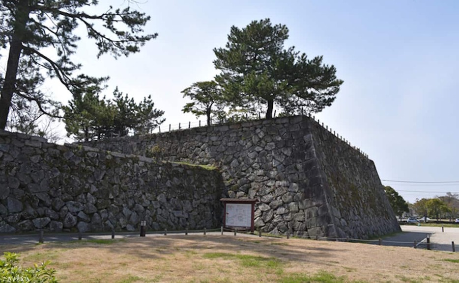 龍造寺の家臣でありながら、秀吉に重用された鍋島直茂。彼がもっていた先見力について、橋場日月氏が紹介する。