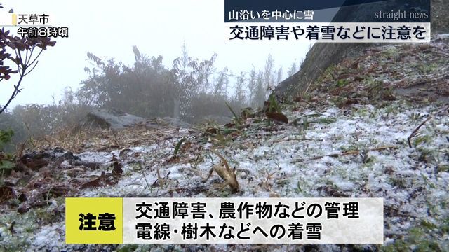 倉岳山頂付近(天草市・26日午前8時頃)