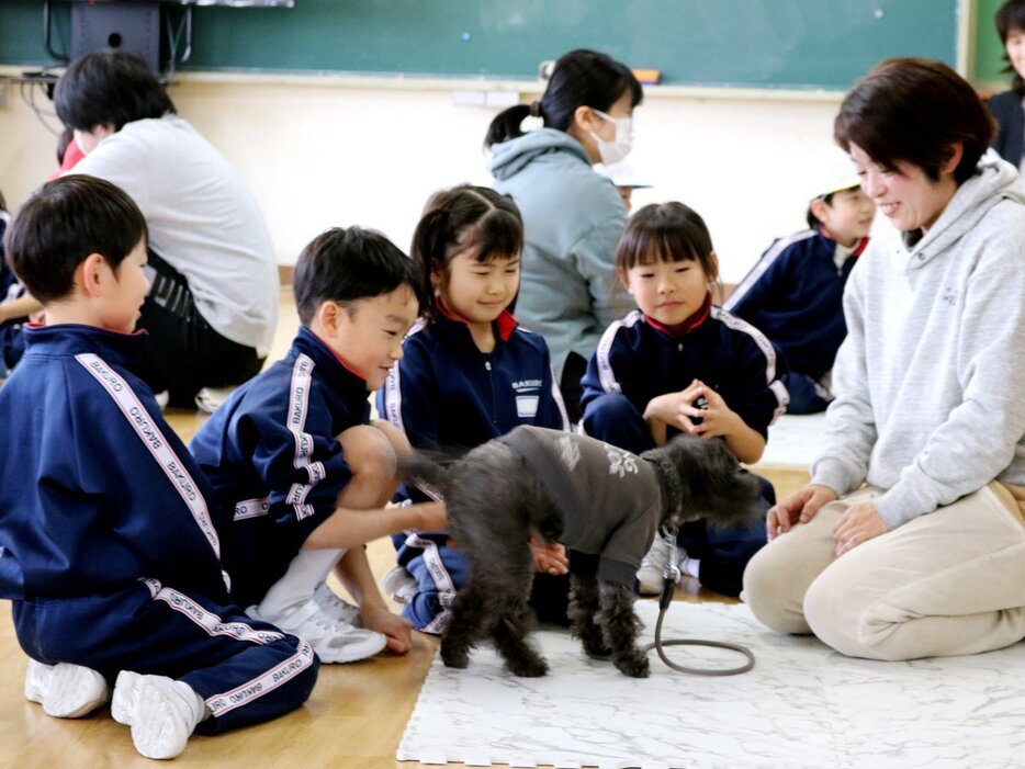 犬と触れ合う児童＝高岡市博労小学校