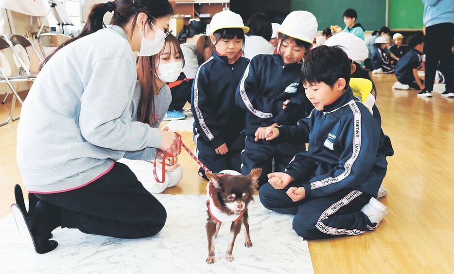 犬と触れ合う児童