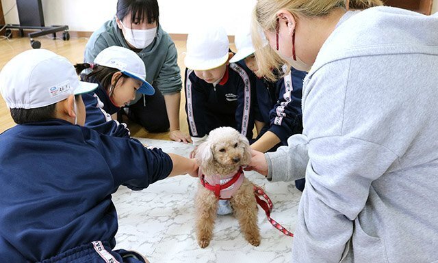 児童に優しくなでられ、落ち着いた様子の犬