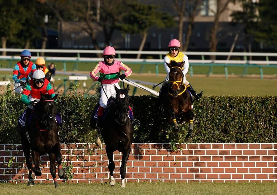 連覇を目指したマイネルグロン（手前左）は中山大障害で落馬（撮影・橋本健）