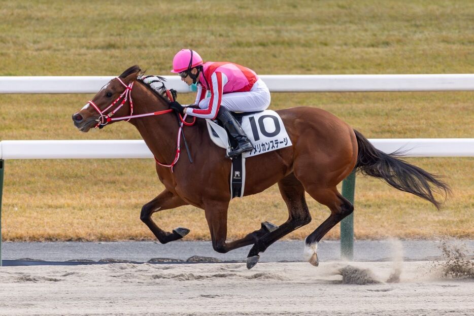 京都6R・アメリカンステージと坂井瑠星騎手