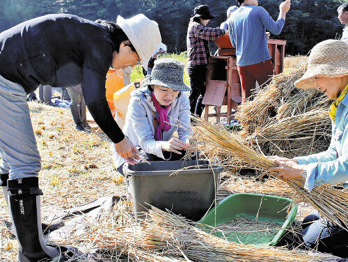 移住者らが集まるイベントで昔ながらの脱穀体験をする参加者（１１月４日、東京都青梅市で）