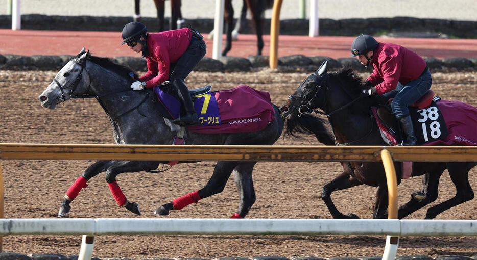 Cウッドを併せ馬で追い切るヤマニンブークリエ（左）