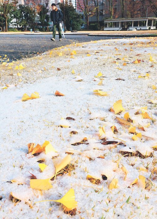 芝生の上にうっすらと積もった雪＝１４日午前９時１５分ごろ、富山市新総曲輪