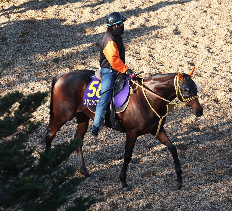 運動するスタニングローズ（撮影・亀井直樹）