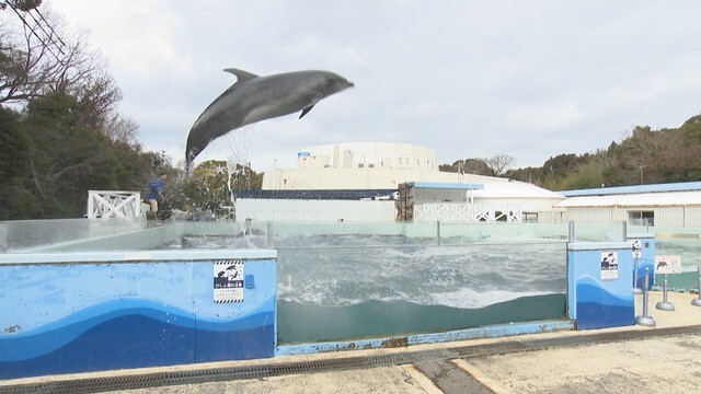 資料:新屋島水族館（高松市屋島東町）