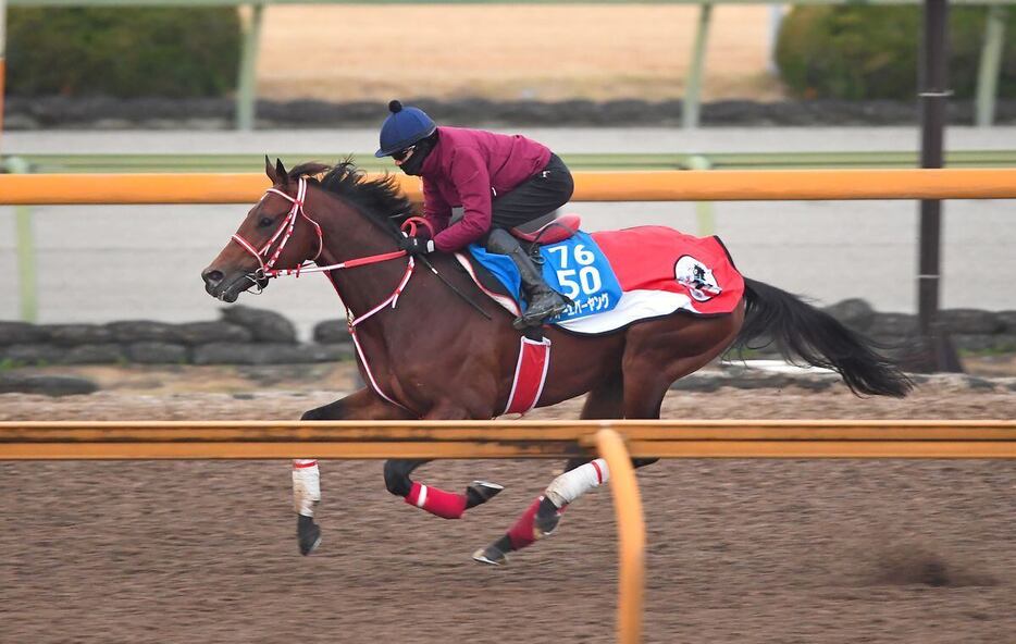 3頭併せで2馬身先着したフォーエバーヤング＝栗東トレセン（撮影・岩川晋也）