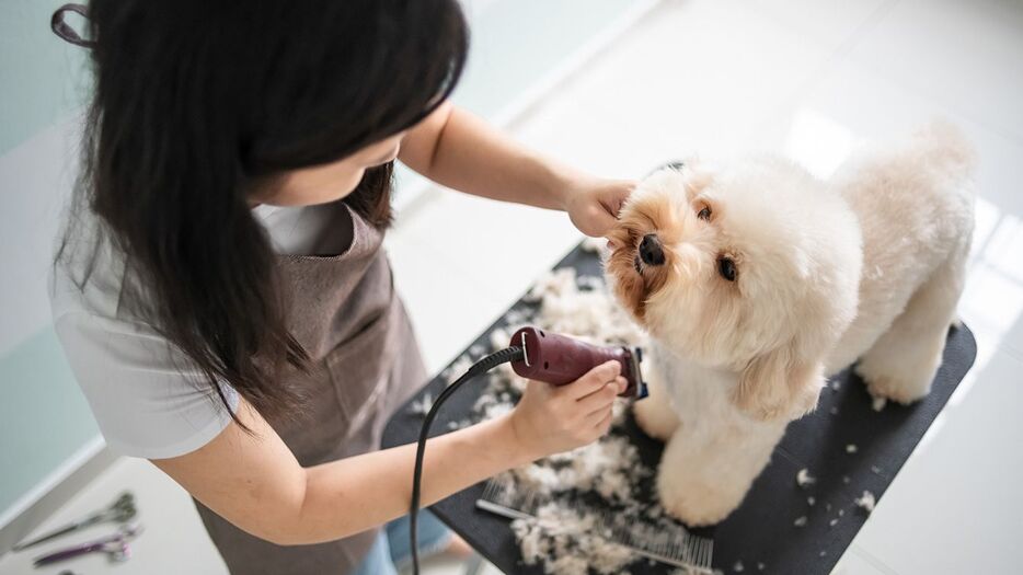 ※写真はイメージです - 写真＝iStock.com／Edwin Tan