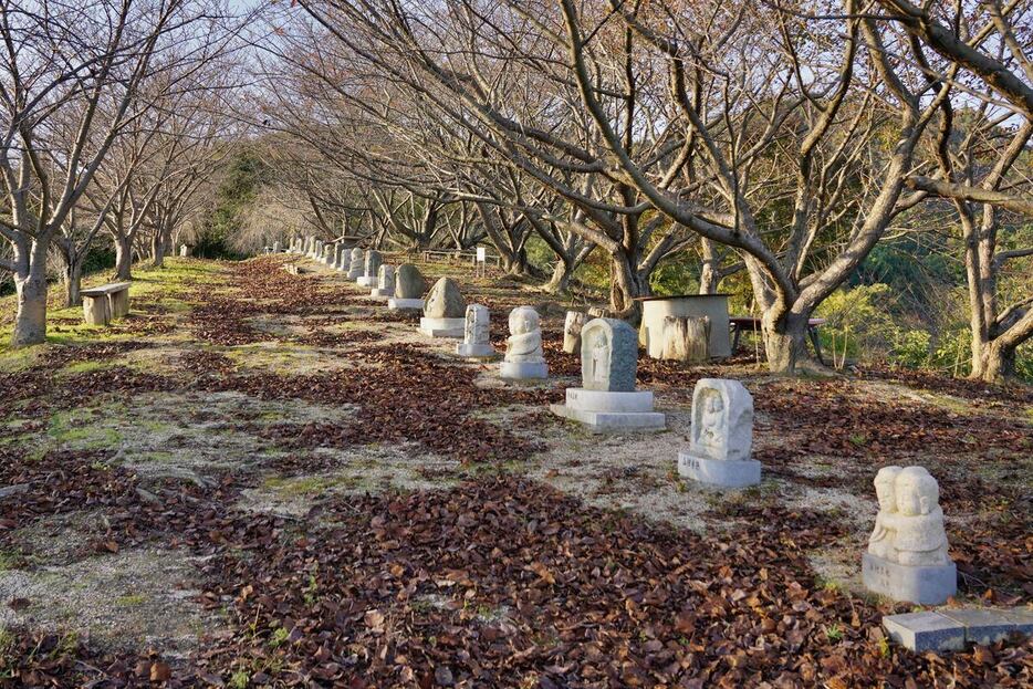 桜並木の下で、島民らが寄進した道祖神がずらりと座す「道祖神の丘」＝広島県三原市の佐木島