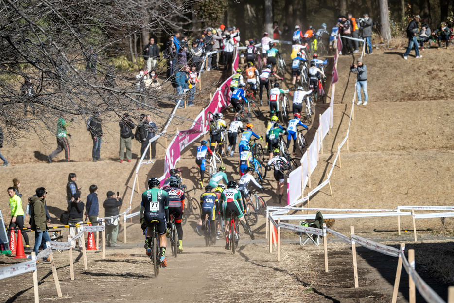 写真：Bicycle Club