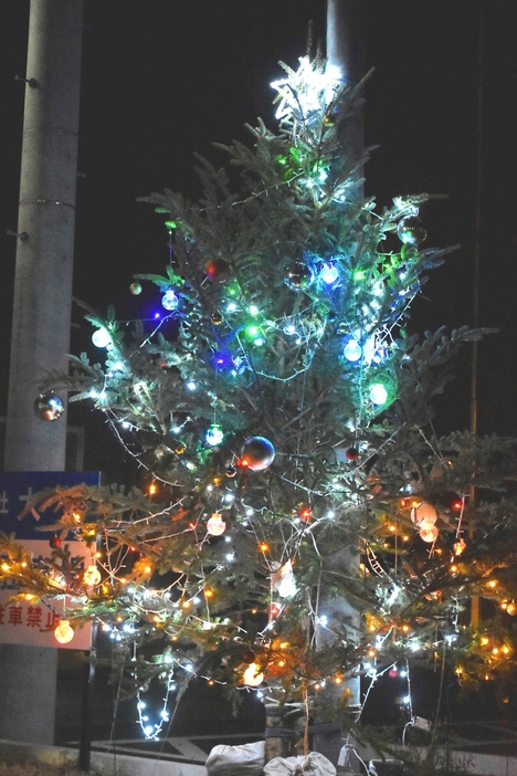 成田山薬師寺近くの駐車場にお目見えしたクリスマスツリー