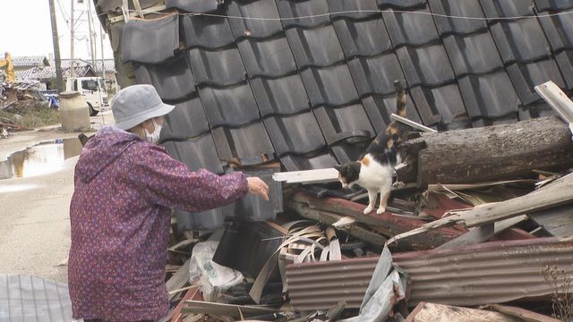 英子さんと猫のナナ