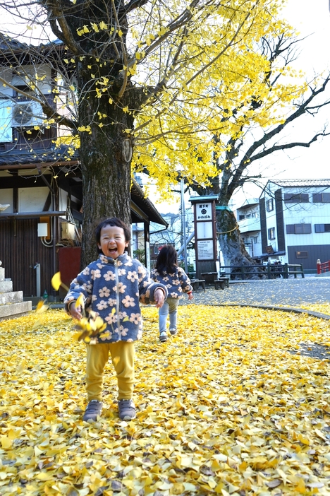 葉っぱを放り投げて笑顔の子ども。奥には樹齢1000年の大ケヤキが見える＝2024年12月5日午後3時15分、兵庫県丹波市柏原町柏原で