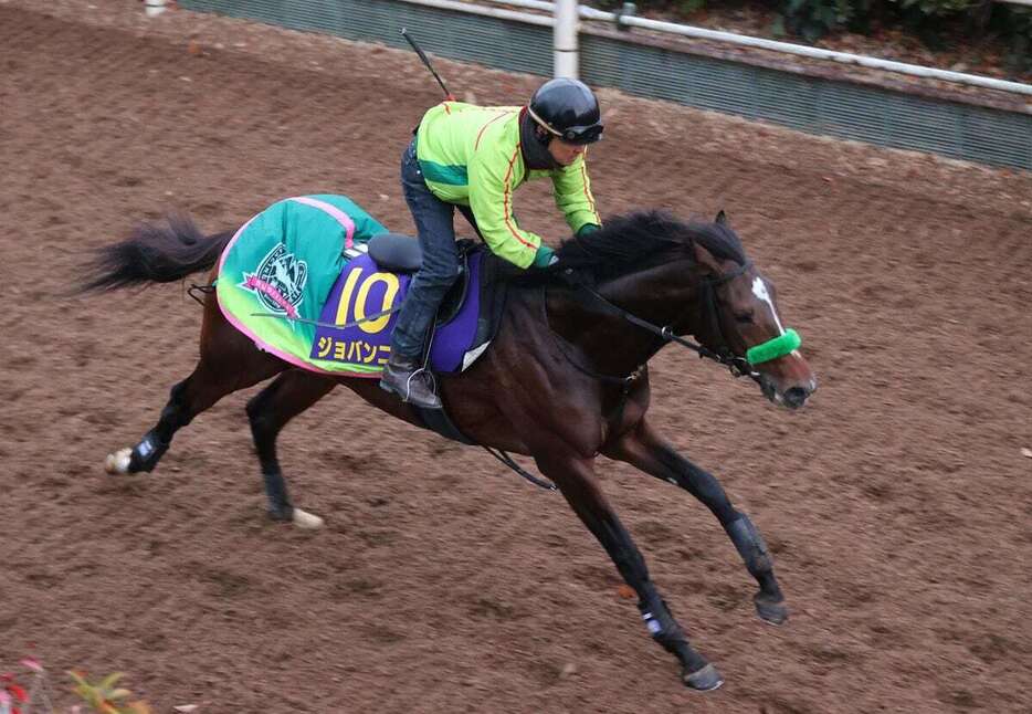 【競馬】ジョバンニ＝栗東トレセン（撮影・安部光翁）