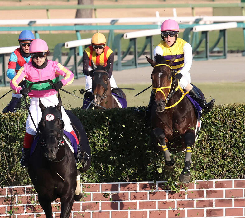 中山10R、中山大障害を制したニシノデイジーと五十嵐騎手（右）（撮影・丹羽敏通）