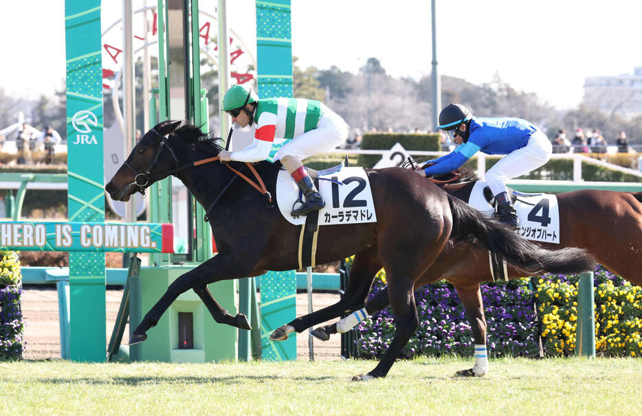 2歳未勝利戦を制したカーラデマドレとルメール騎手（撮影・丹羽敏通）