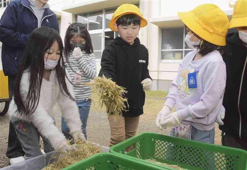 ヤギに与える餌の準備をする託麻南小の児童たち＝11月28日、熊本市東区