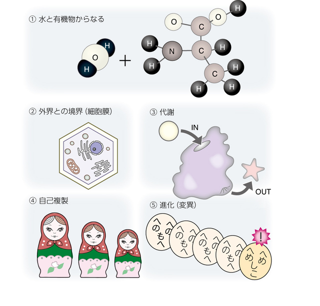 地球生命の5つの特徴