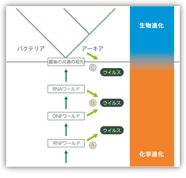 ウイルスの起源はどこか？